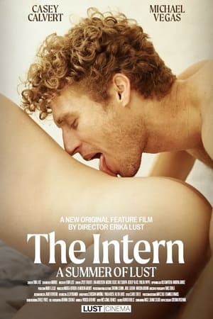 The Intern A Summer of Lust
