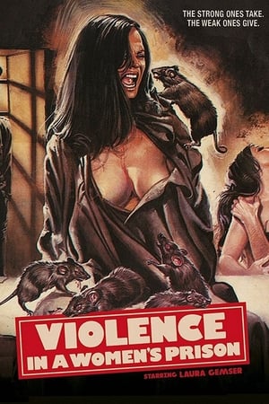 Violence in a Womens Prison